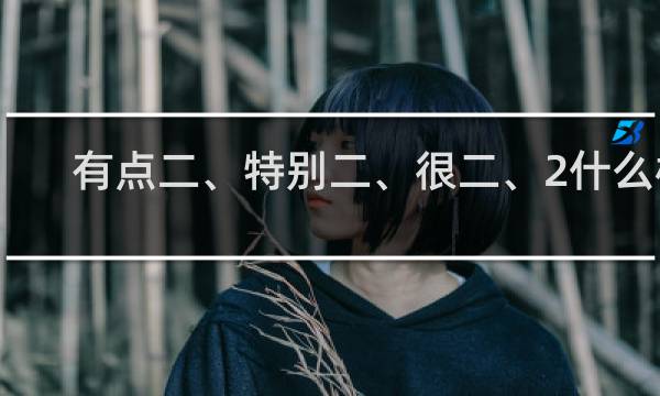 有点二、特别二、很二、2什么梗