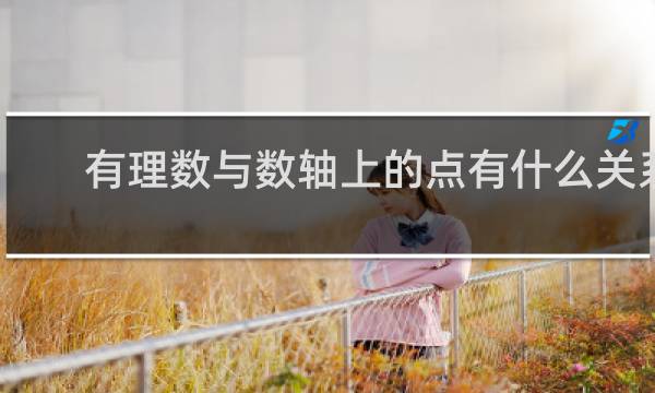 有理数与数轴上的点有什么关系