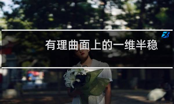 有理曲面上的一维半稳定层模空间(关于有理曲面上的一维半稳定层模空间的简介)图片