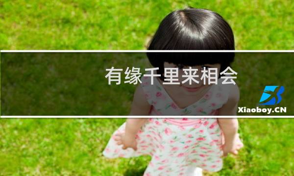 有缘千里来相会,怎么回复（有缘千里来相会下一句撩妹怎么接）图片