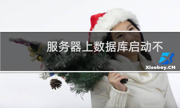 服务器上数据库启动不了-云服务器问题