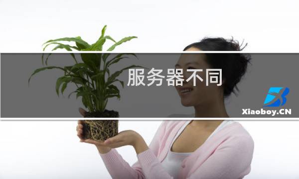 服务器不同  域速度问题