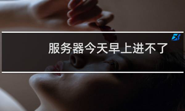 服务器今天早上进不了系统了！
