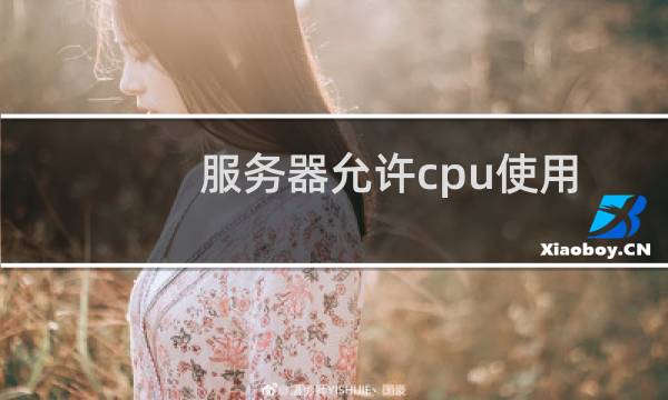 服务器允许cpu使用率突然飙升