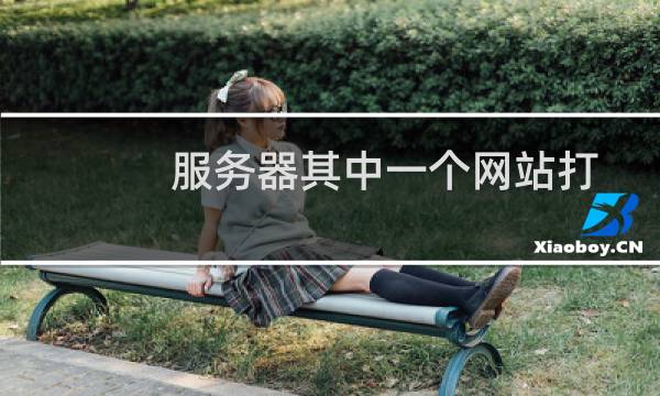 服务器其中一个网站打不开