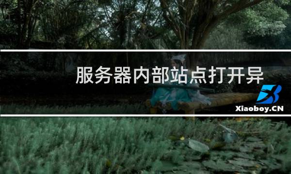 服务器内部站点打开异常-云服务器问题