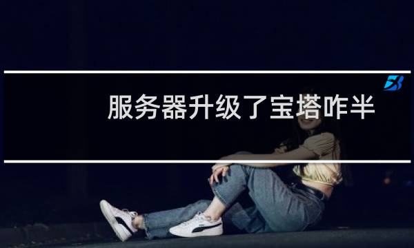 服务器升级了宝塔咋半天没有更新