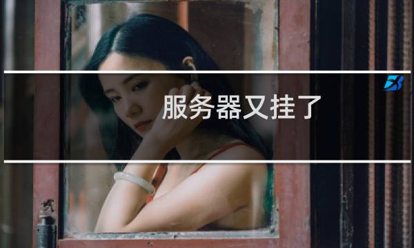 服务器又挂了 帮我看下怎么回事