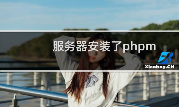服务器安装了phpmy打不开