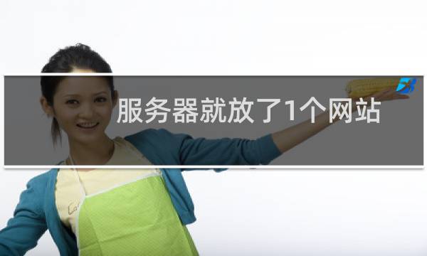 服务器就放了1个网站，但是打开很卡，是什么问题呢http:w