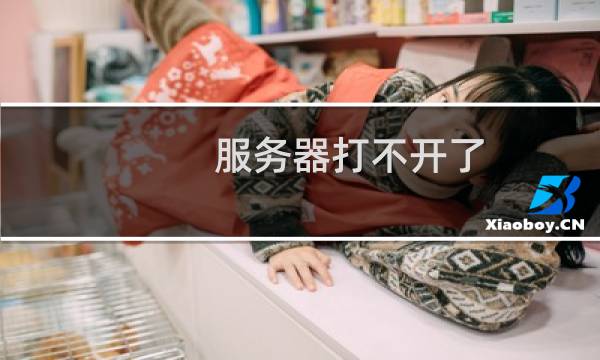 服务器打不开了，蓝屏-云服务器问题