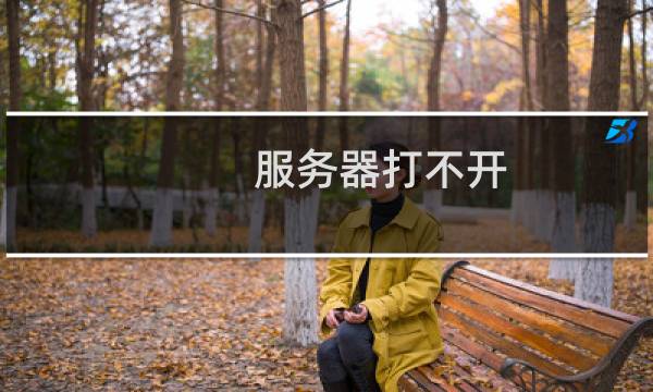 服务器打不开 域名访问慢