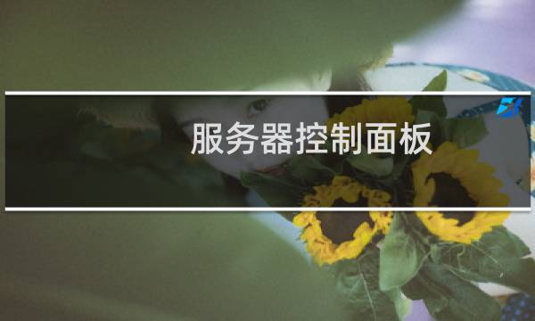 服务器控制面板  点击进入 访问不了