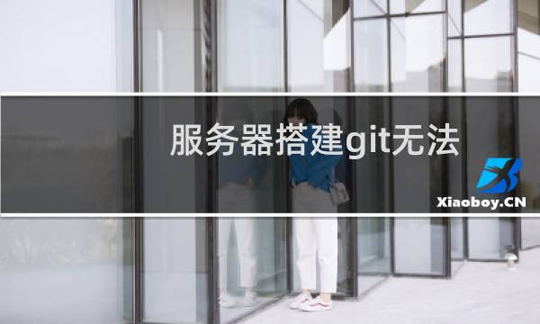 服务器搭建git无法远程拉取代码。