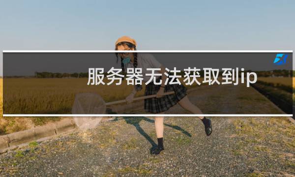 服务器无法获取到ip这个问题咋个解决?