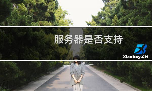 服务器是否支持 TLS1.2 和 HTTP1.1