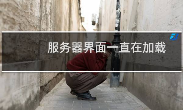 服务器界面一直在加载中,登录上去也很卡