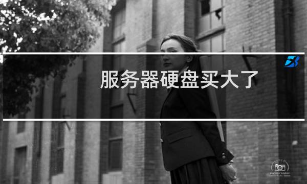 服务器硬盘买大了，需要帮忙调小一些