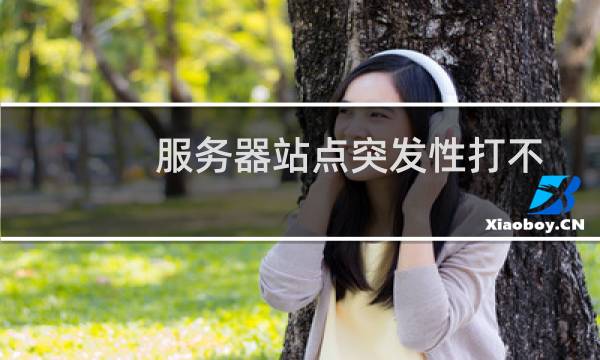 服务器站点突发性打不开-其他问题
