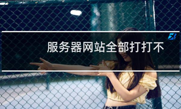 服务器网站全部打打不开-云服务器问题