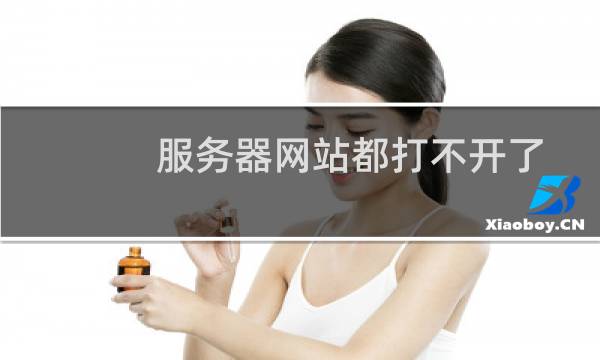 服务器网站都打不开了。疑似被黑。请帮助处理