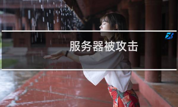 服务器被攻击 帮忙看下属于哪种攻击 应该怎么防御
