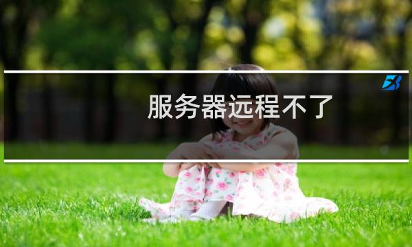 服务器远程不了,打不开了