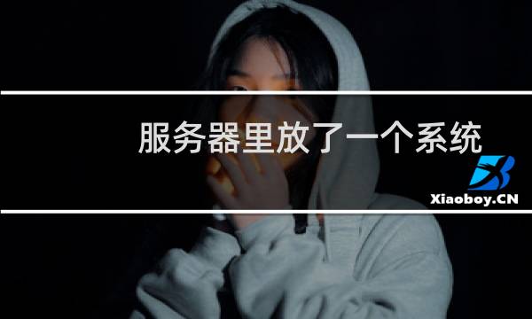 服务器里放了一个系统   支付的时候显示系统繁忙 稍后再试