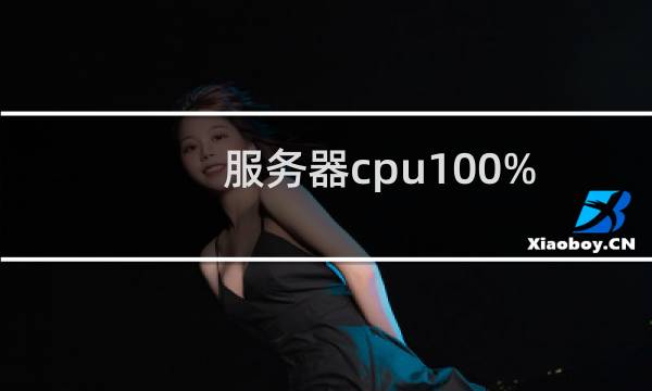 服务器cpu100%%uFF0C负载状态满格 ,服务器内网站几乎无法访