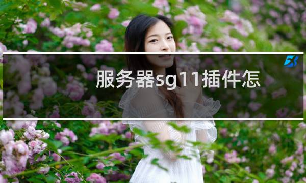 服务器sg11插件怎么安装部署