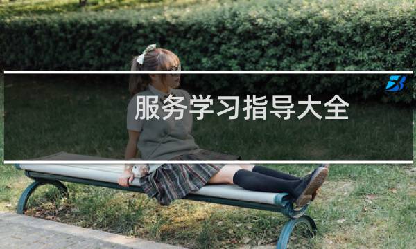 服务学习指导大全(关于服务学习指导大全的简介)图片
