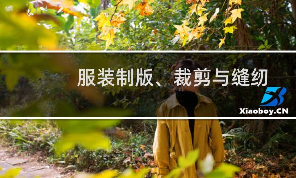 服装制版、裁剪与缝纫从入门到精通(关于服装制版、裁剪与缝纫从入门到精通的简介)