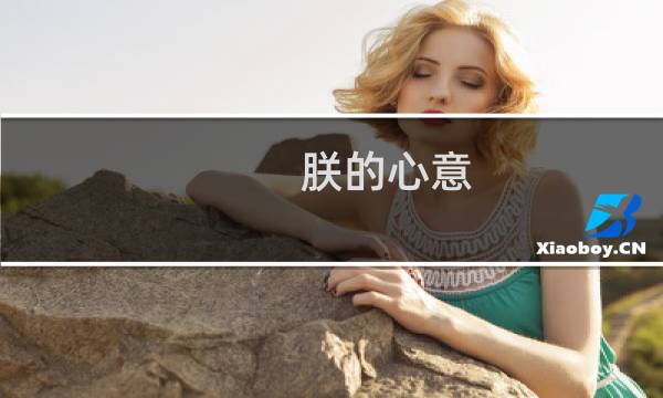 朕的心意(关于朕的心意的简介)