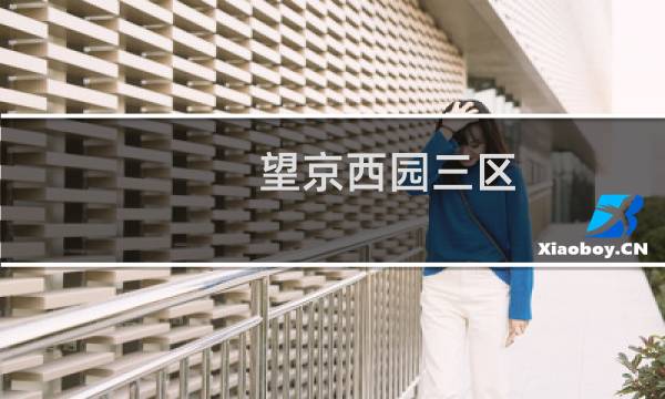 望京西园三区(关于望京西园三区的简介)