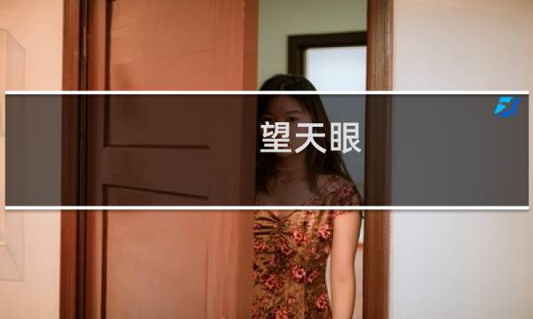 望天眼(关于望天眼的简介)