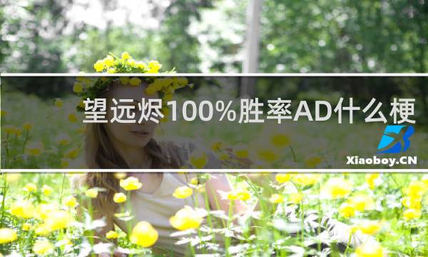 望远烬100%胜率AD什么梗