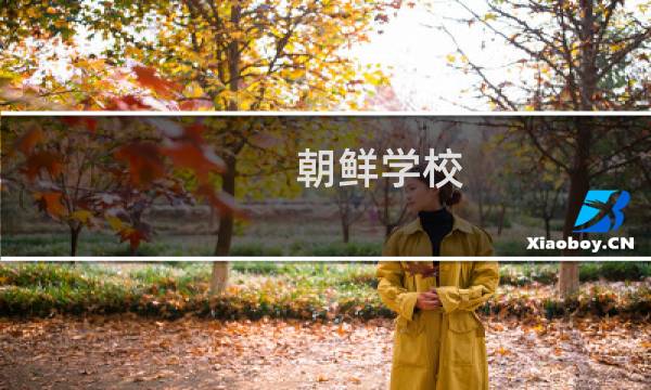 朝鲜学校(关于朝鲜学校的简介)