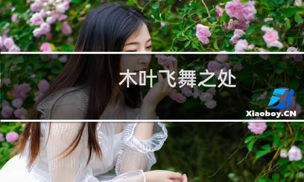 木叶飞舞之处，火亦生生不息什么梗