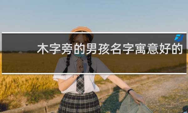 木字旁的男孩名字寓意好的 木字旁的男孩名字大全