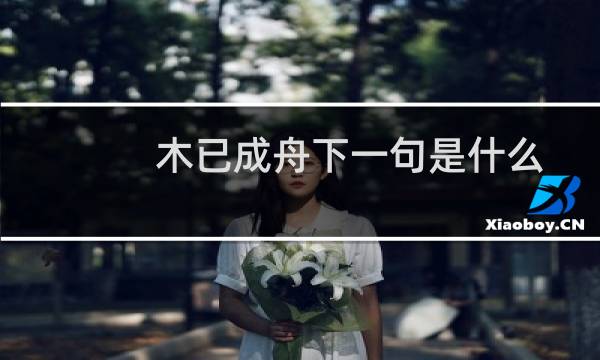 木已成舟下一句是什么（木已成舟有下一句吗）