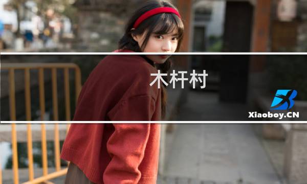 木杆村(关于木杆村的简介)