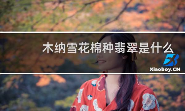 木纳雪花棉种翡翠是什么档次
