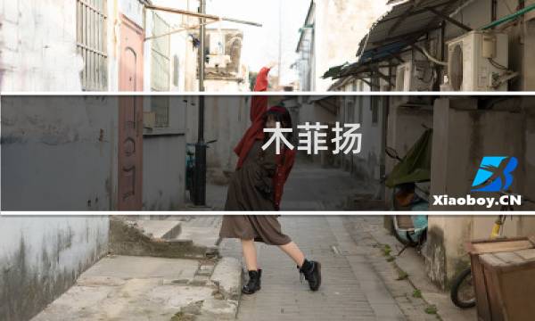 木菲扬(关于木菲扬的简介)