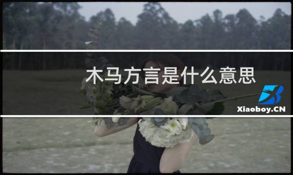 木马方言是什么意思（网络流行语中木马是什么意思）