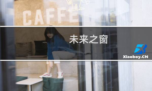 未来之窗(关于未来之窗的简介)