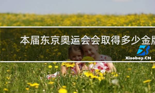 本届东京奥运会会取得多少金牌