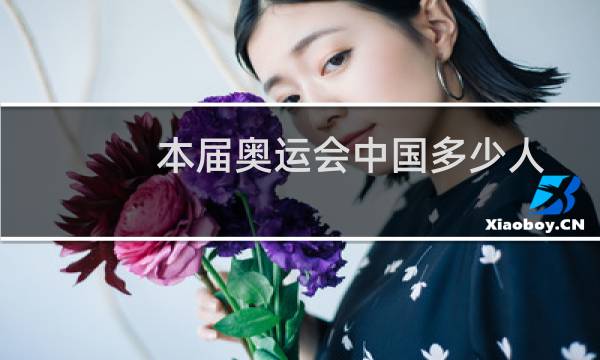 本届奥运会中国多少人