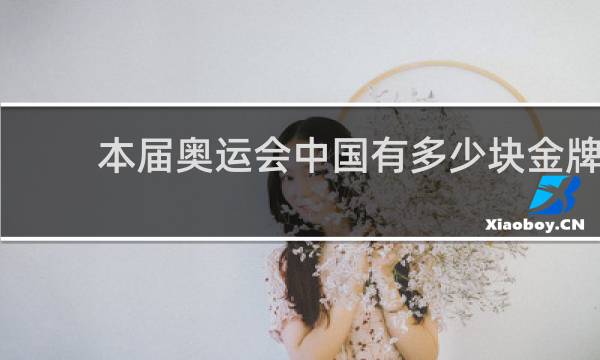 本届奥运会中国有多少块金牌