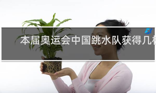 本届奥运会中国跳水队获得几枚金牌