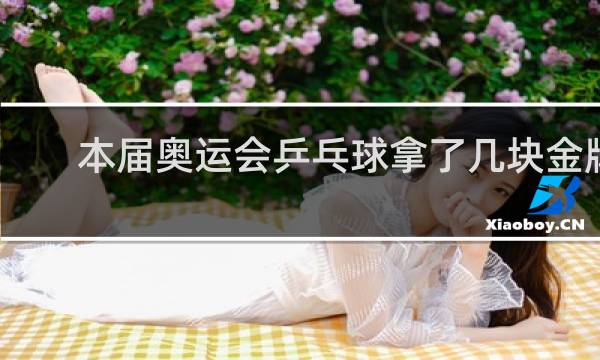 本届奥运会乒乓球拿了几块金牌